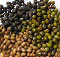 Manufacturers Exporters and Wholesale Suppliers of Urad Dal Barely Uttar Pradesh